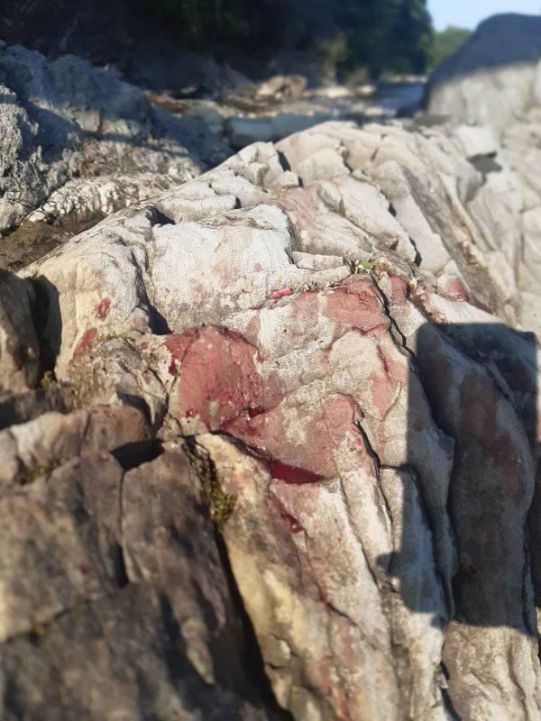 На Прикарпатті дитина впала з аварійного мосту в річку (фото)