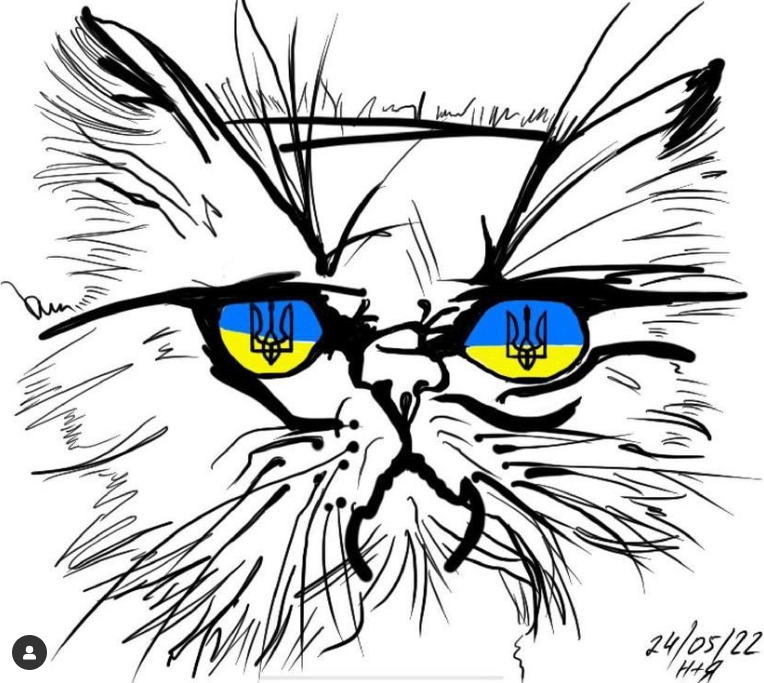 Кішка Шафа з Бородянки вже зі своєю справжньою хазяйкою: милі фото знаменитого пухнастика