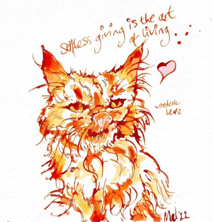 Кішка Шафа з Бородянки вже зі своєю справжньою хазяйкою: милі фото знаменитого пухнастика