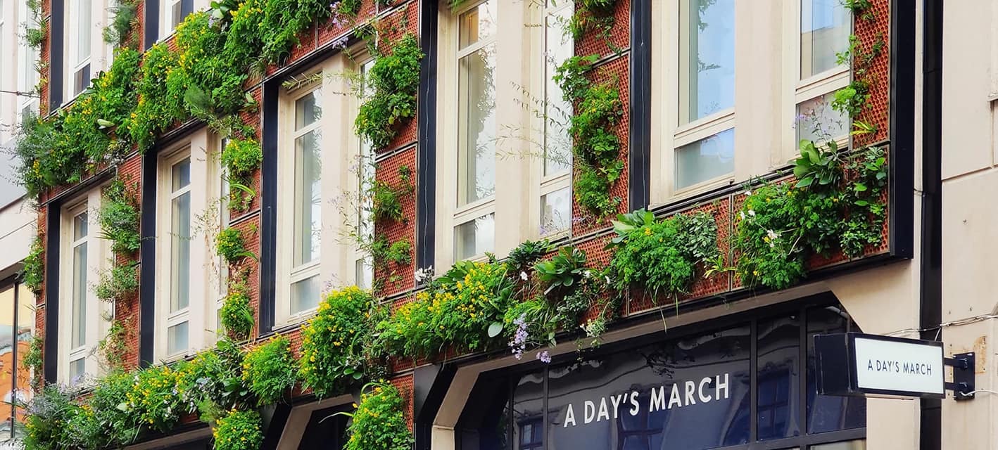 Скоро в Киеве появятся "живые" стены. Смотрите, как они будут выглядеть (фото)