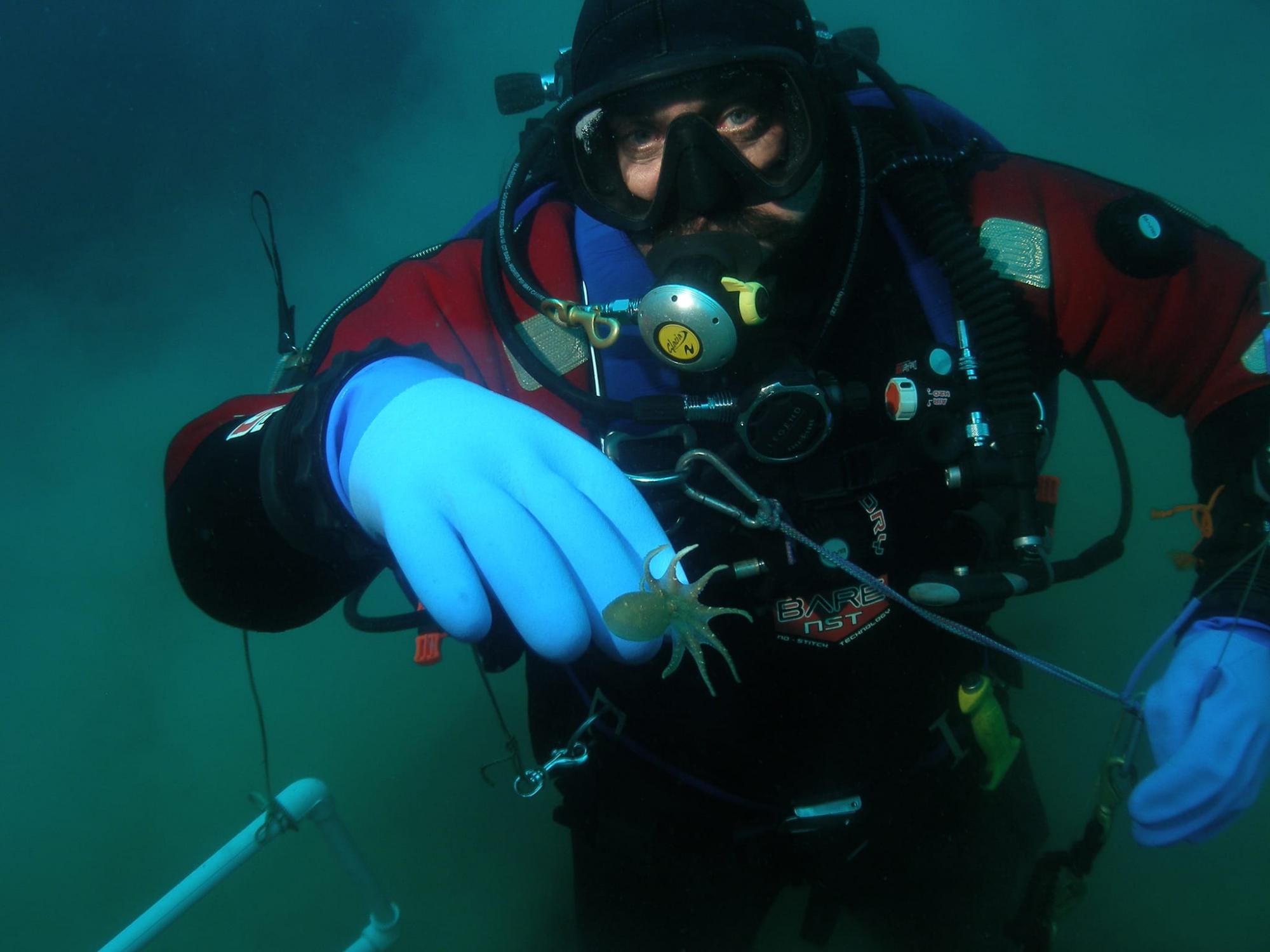 Украинские ученые нашли новый вид существ в Антарктике: детали открытия