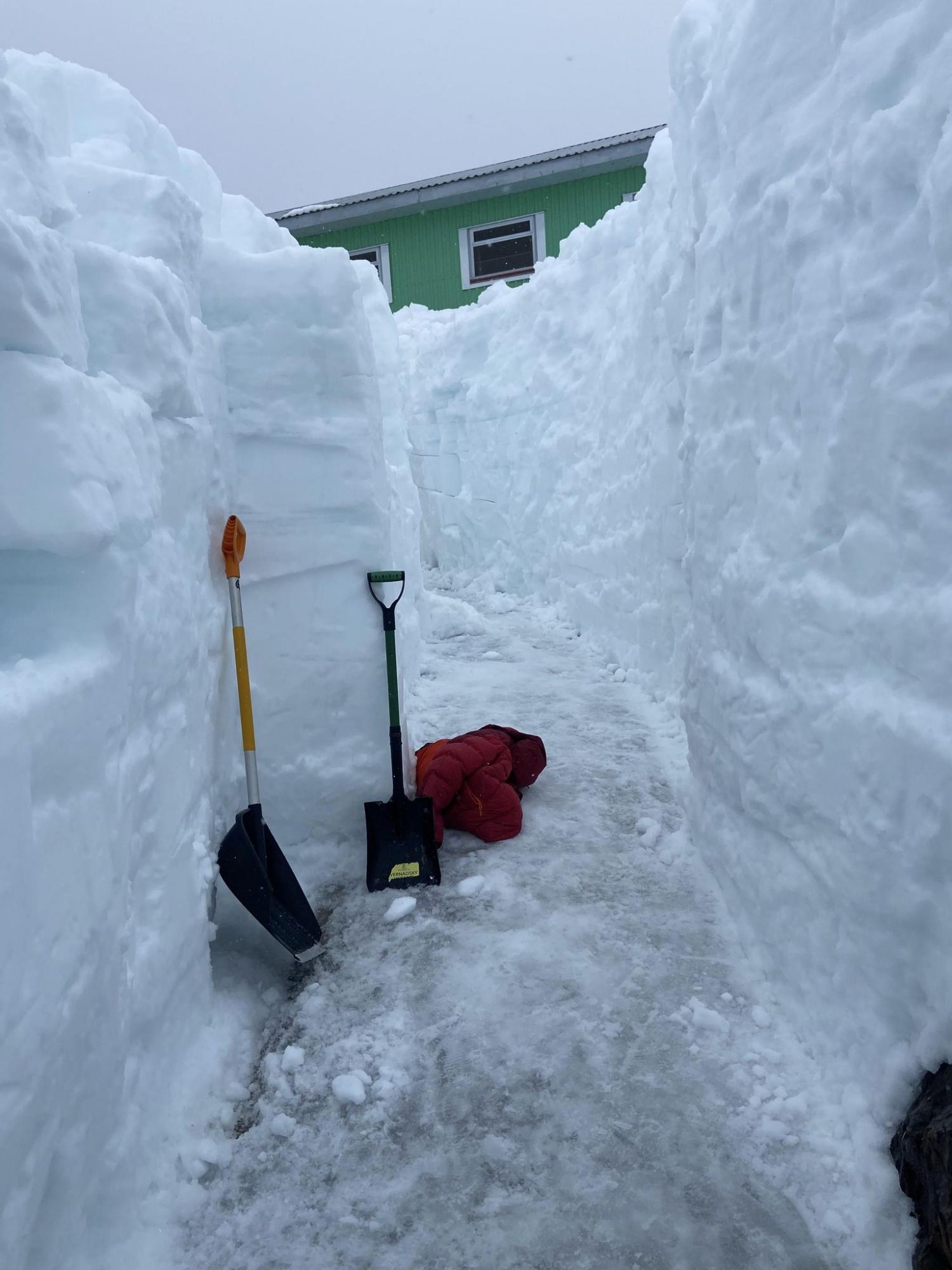Українські полярники показали величезний рів, який викопали у снігу: захоплюючі фото