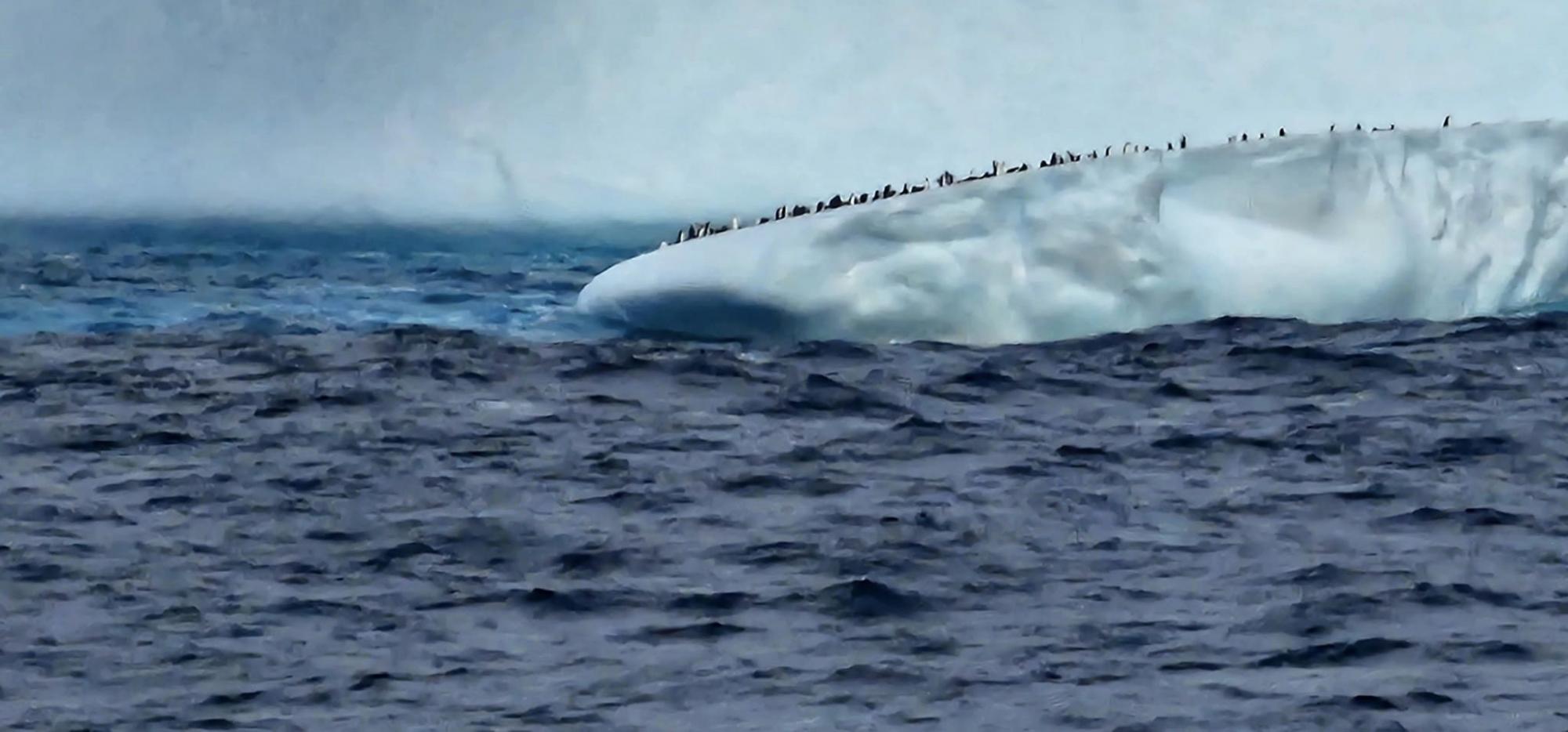 Українські полярники показали величезний айсберг в Антарктиці: неймовірні фото