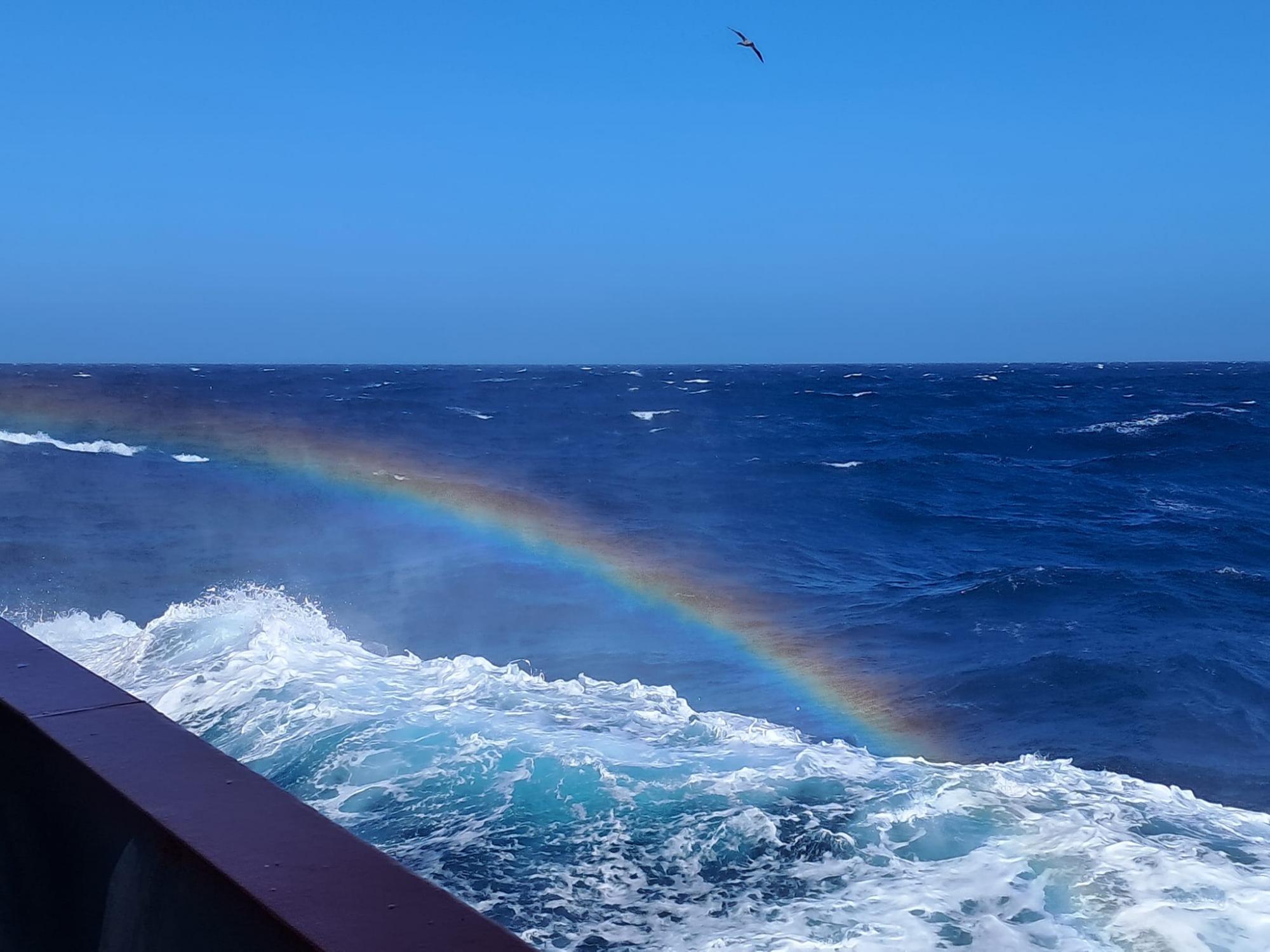 Ukrainian polar explorers show huge iceberg in the Antarctic: Incredible photos