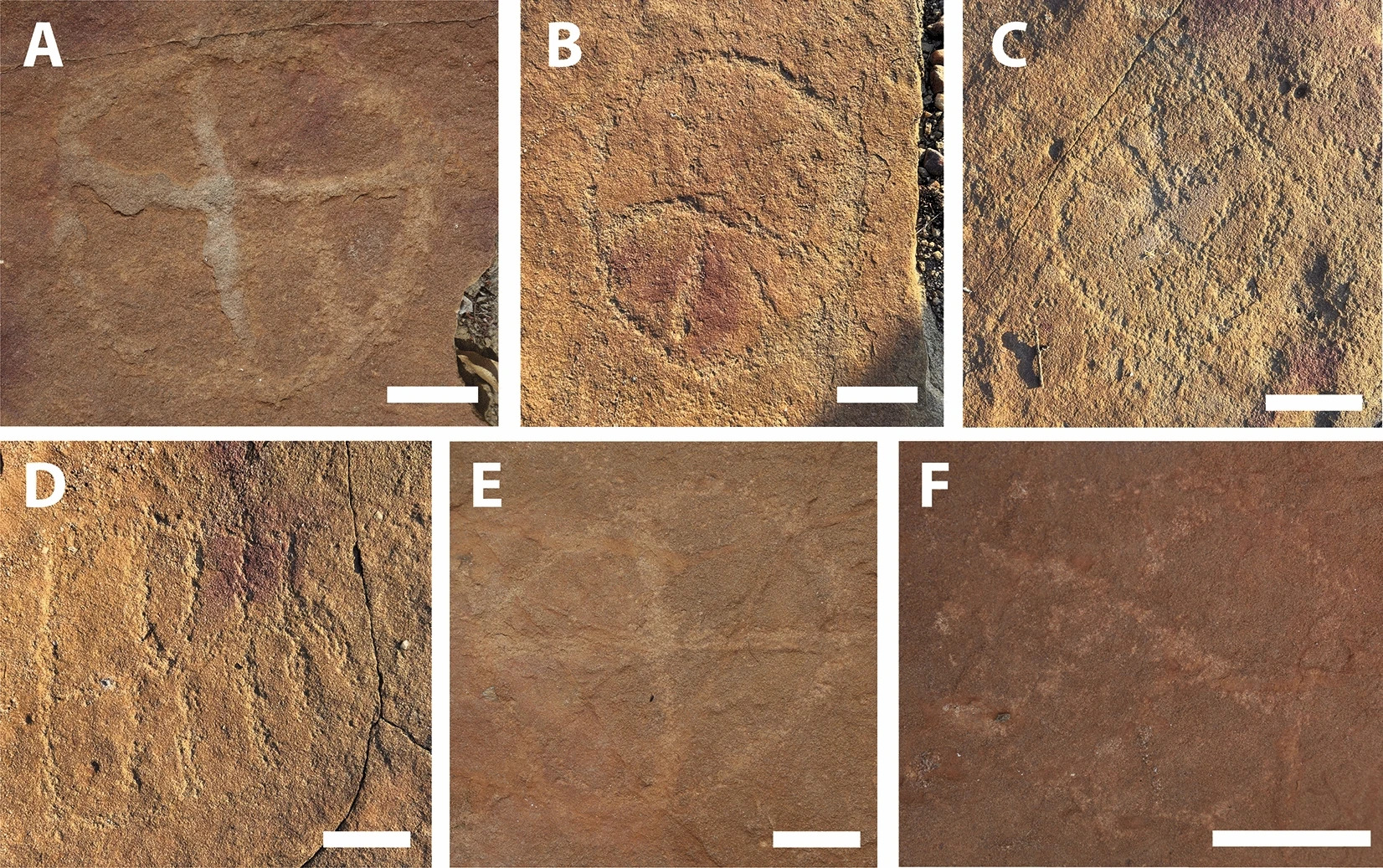 Вчені вперше виявили живопис давніх людей поряд зі слідами динозаврів