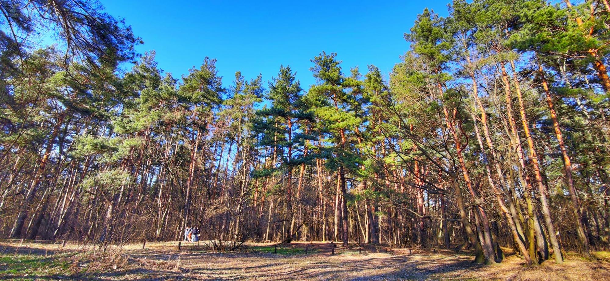 У Києві висохло відоме озеро, яке колись було повноводним (фото)