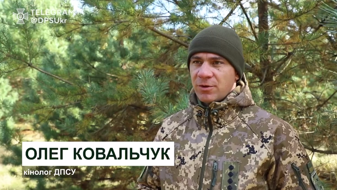 Пес с GPS: в Украине показали, как готовят четырехлапых пограничников (видео)