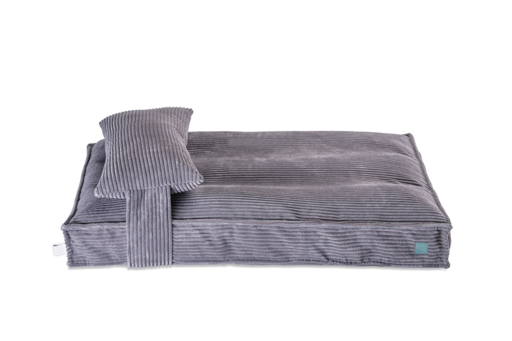 5 аксессуаров для собак, которые реально сделают жизнь комфортнее