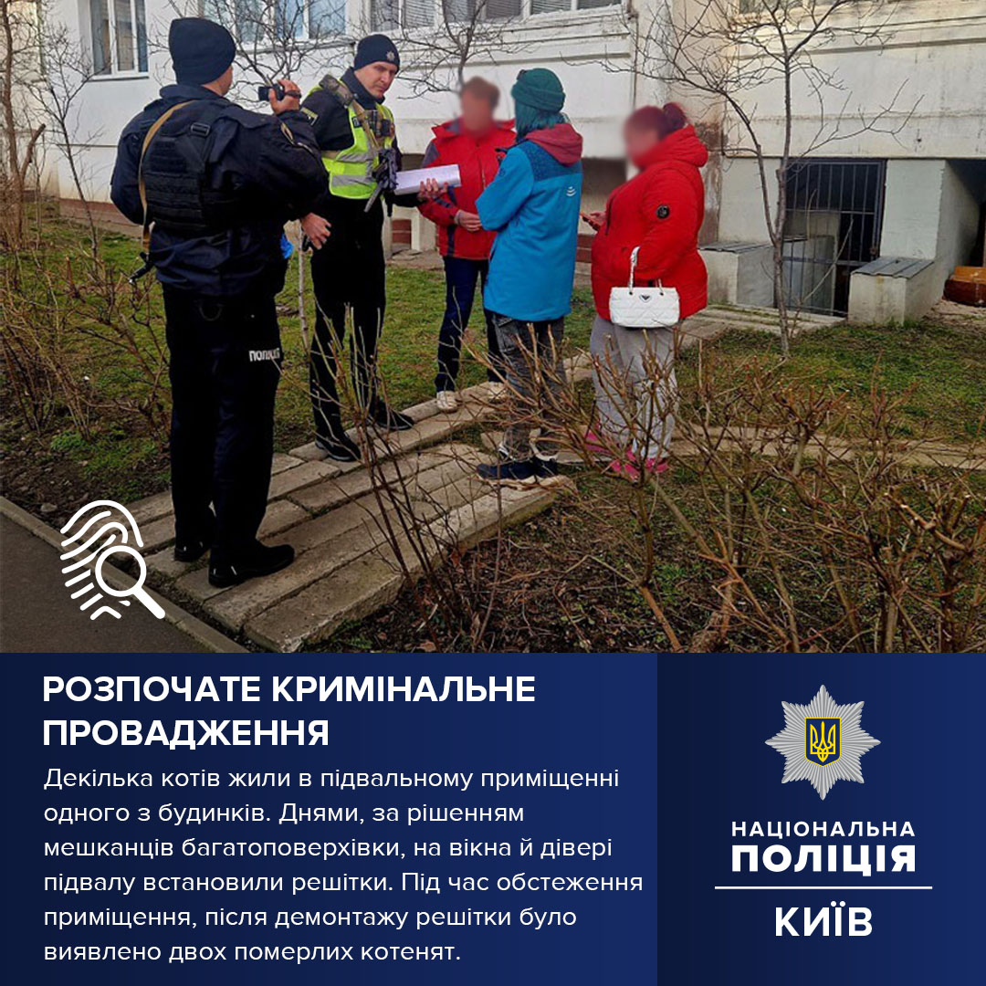 В Киеве жители дома специально закрыли подвал с котами: все животные умерли