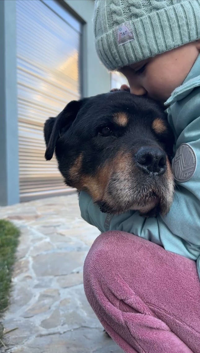 В Украине зафиксируют рекорд собаки-ротвейлера: чем отличилось животное