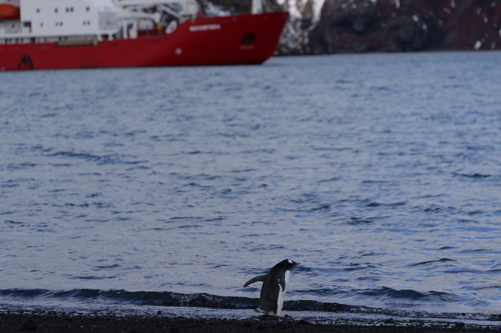 &quot;Пройшли Дрейком, як автобаном&quot;. На &quot;Академік Вернадський&quot; прибула нова команда полярників (фото)