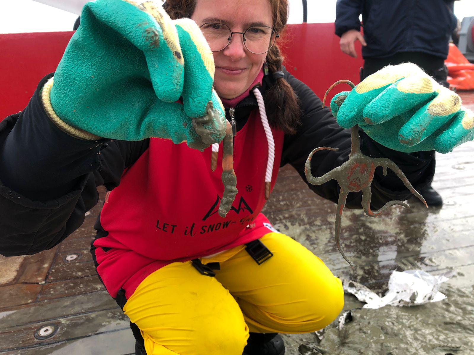 Украинские полярники показали морскую фауну со дна Южного океана: захватывающие фото
