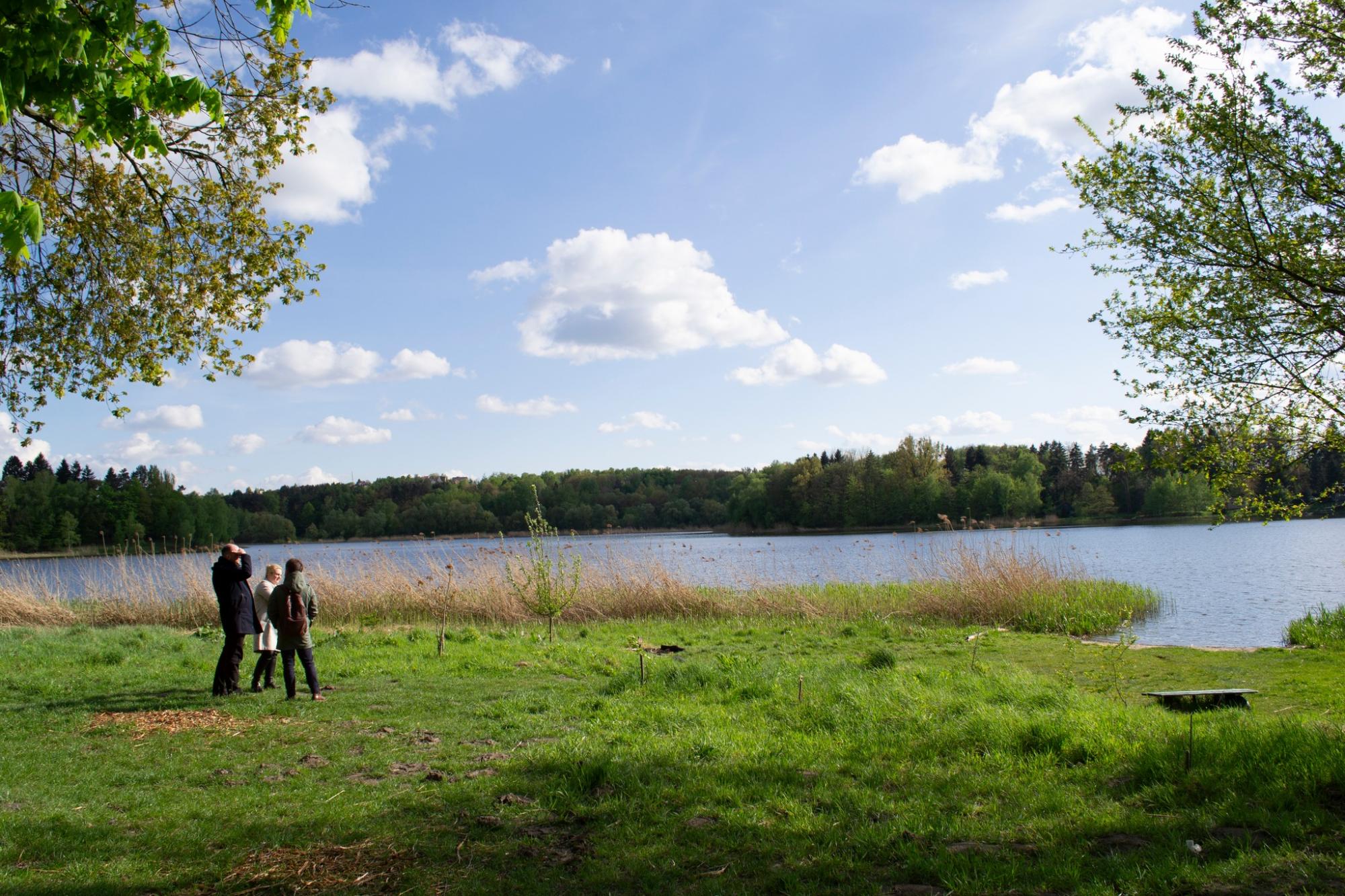 Под Львовом на озере построят спортивно-рекреационную зону. Первые фото проекта