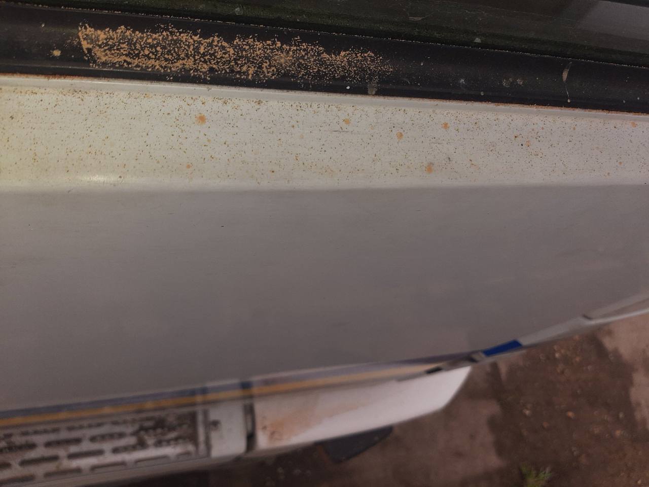 В Україні випав оранжевий дощ: фото та відео &quot;рудих&quot; опадів