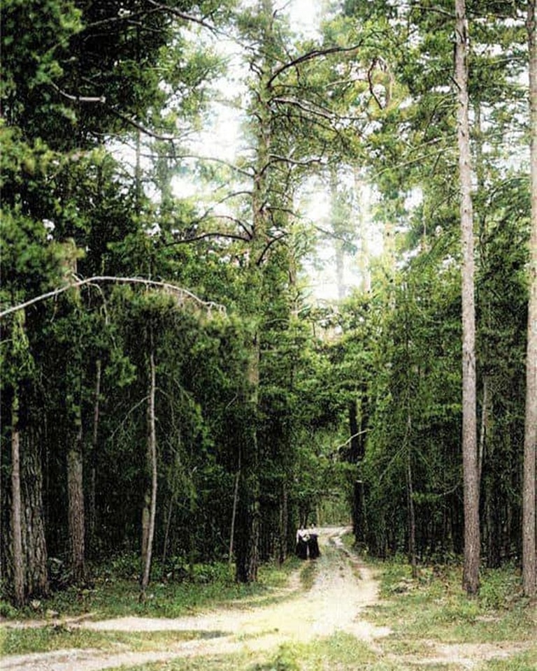 Із залізничною станцією та елітними дачами. Як виглядала столична Дарниця 100 років тому