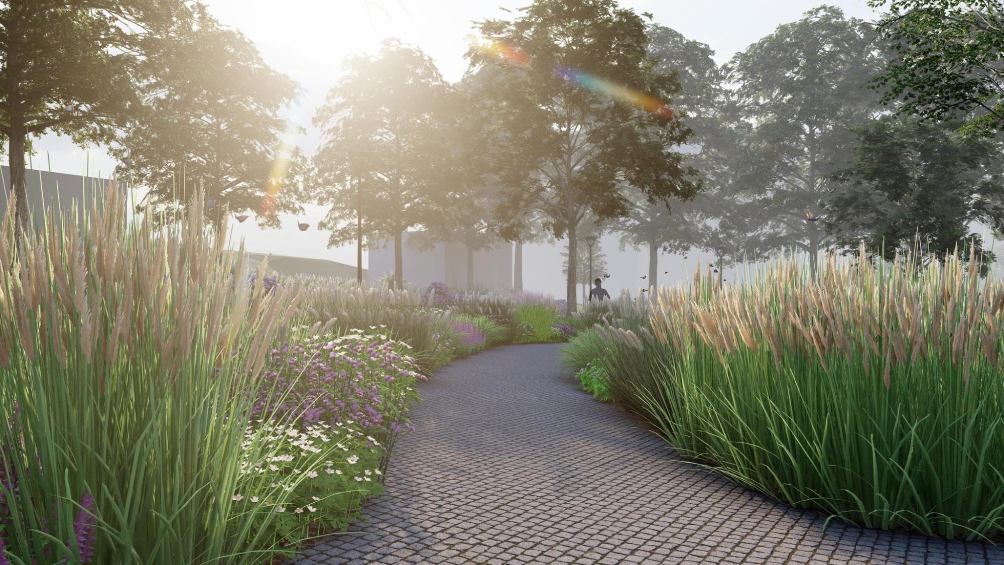 С ароматравами и дождевым садом. Смотрите, как изменится Павловский сквер (фото)