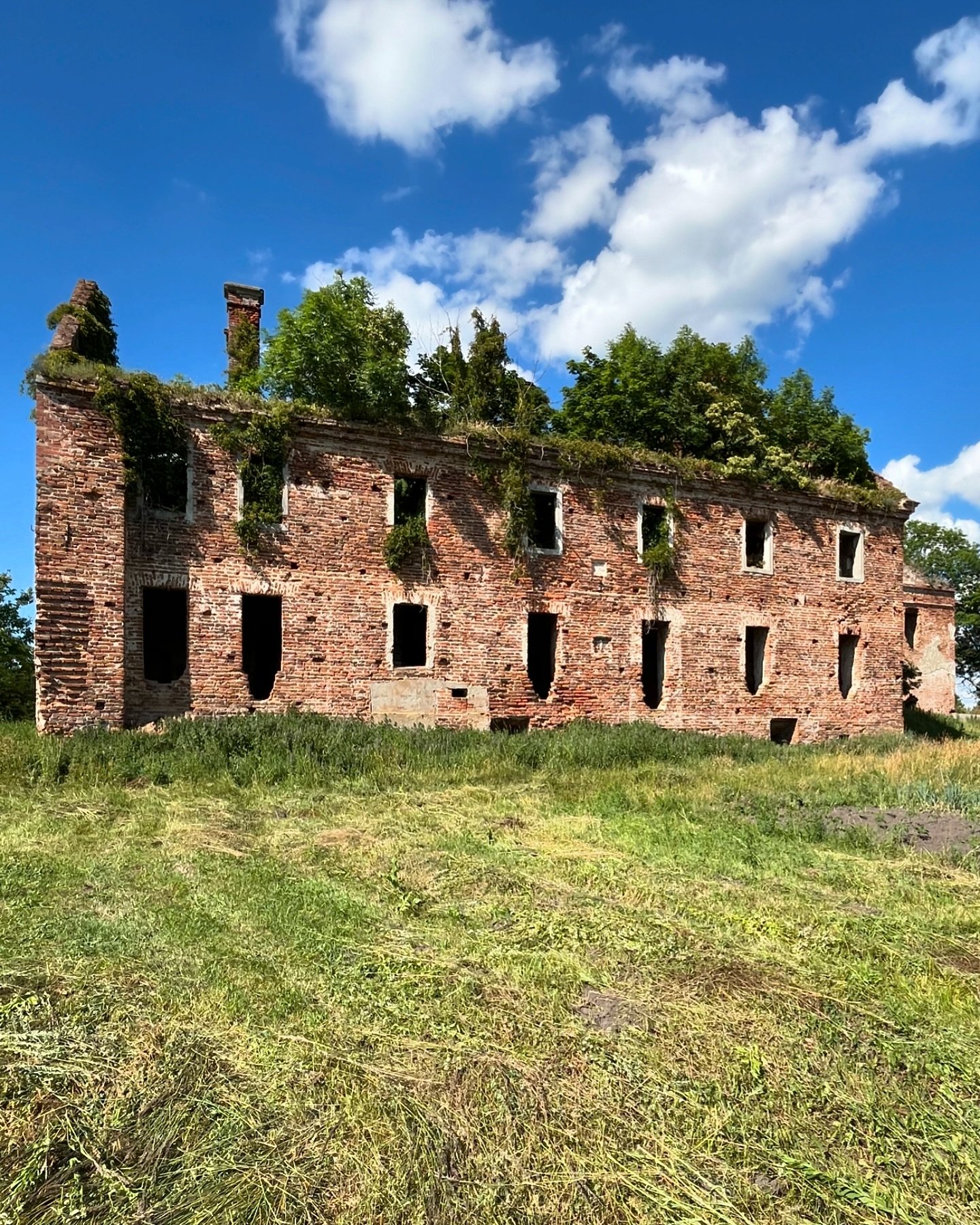 На Волыни обнаружили руины костела и монастыря кармелитов: что известно (фото)