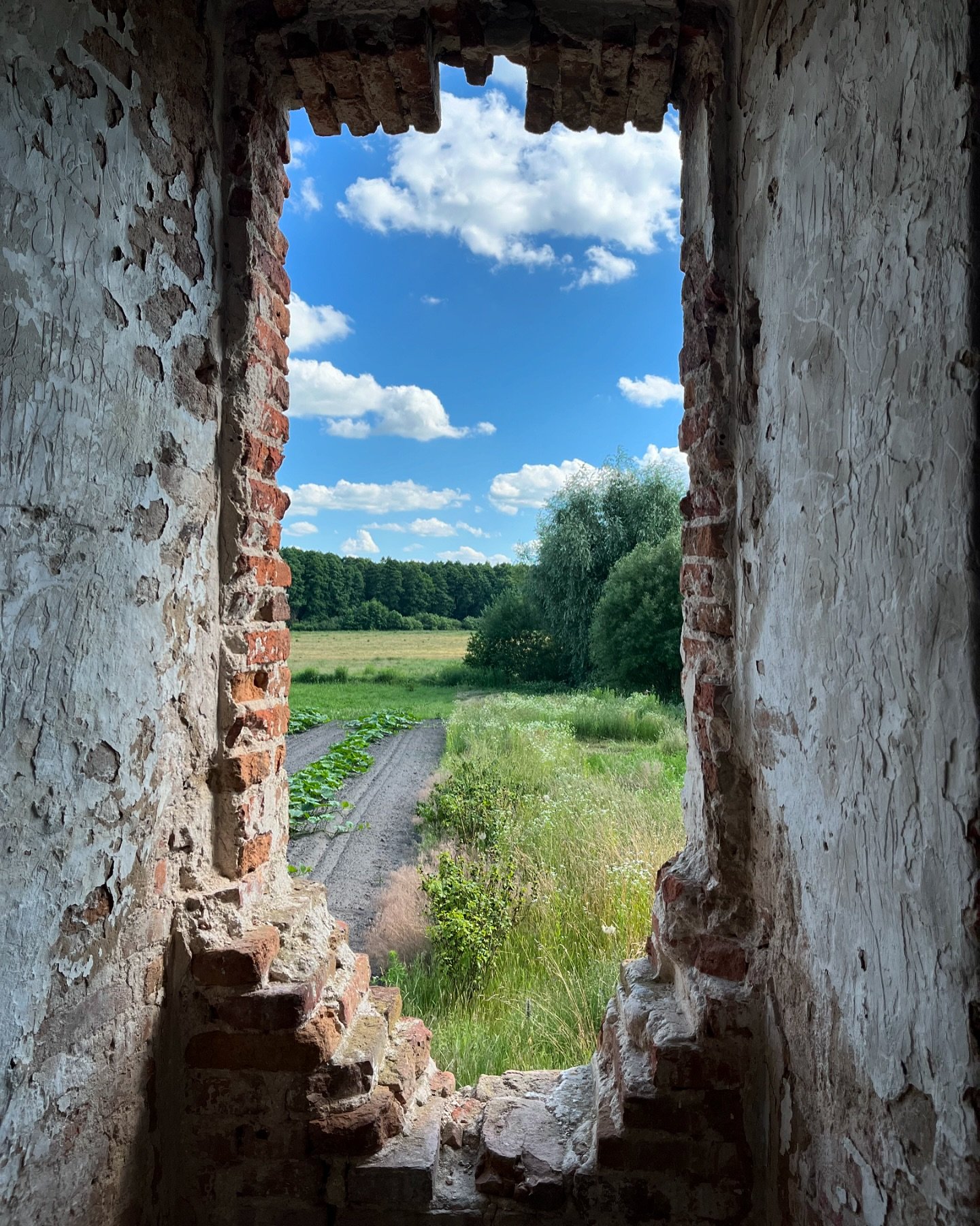 На Волыни обнаружили руины костела и монастыря кармелитов: что известно (фото)