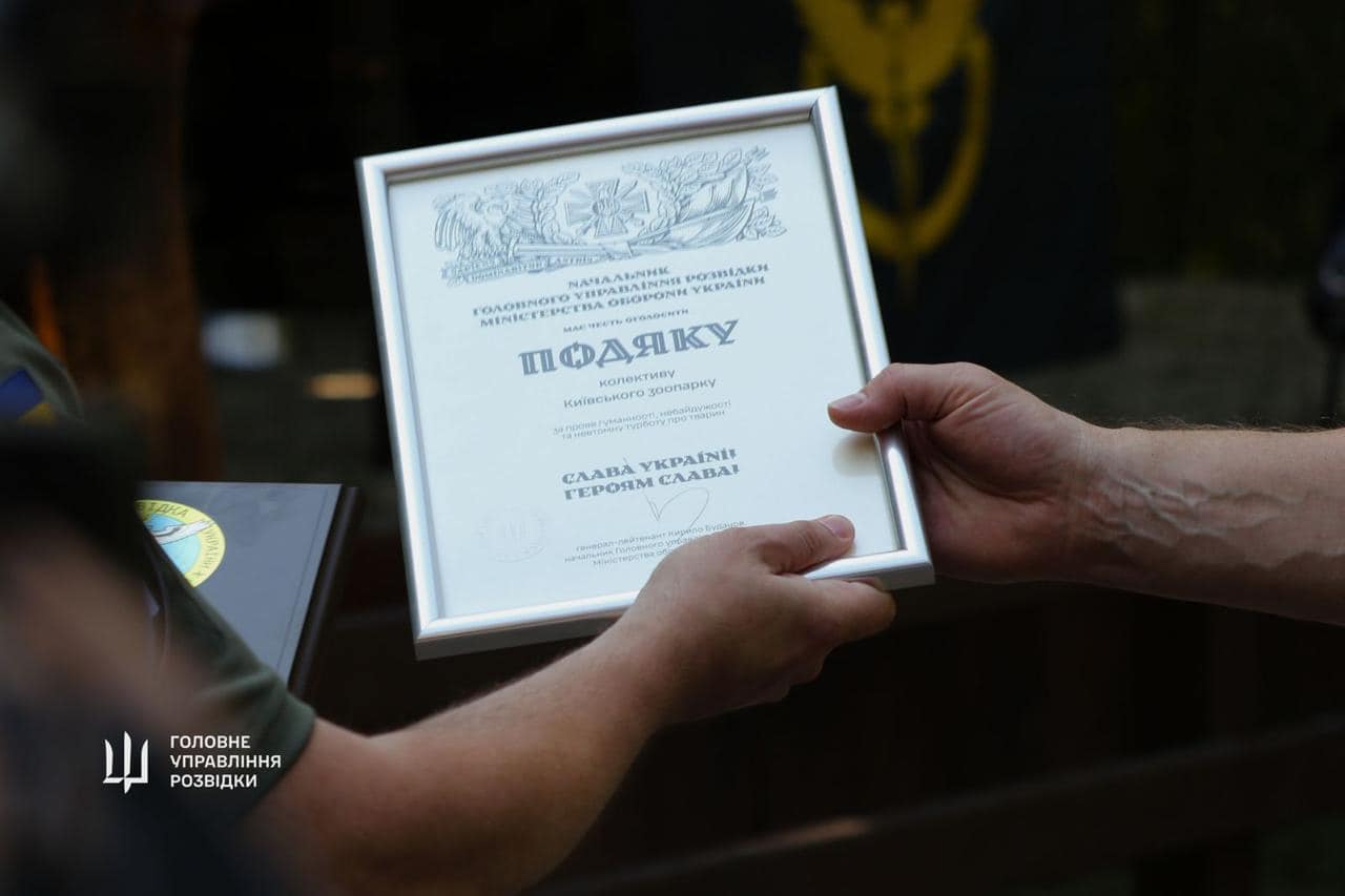 &quot;Штатні&quot; сови ГУР оселяться у Київському зоопарку. Неймовірна історія порятунку птахів (фото)