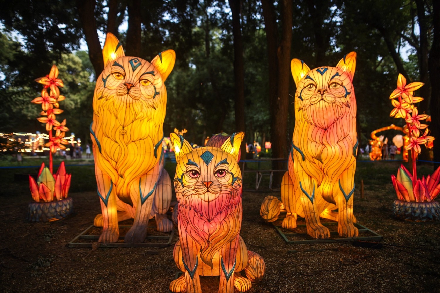 7 городов Украины для атмосферного празднования Дня Независимости в 2024 году