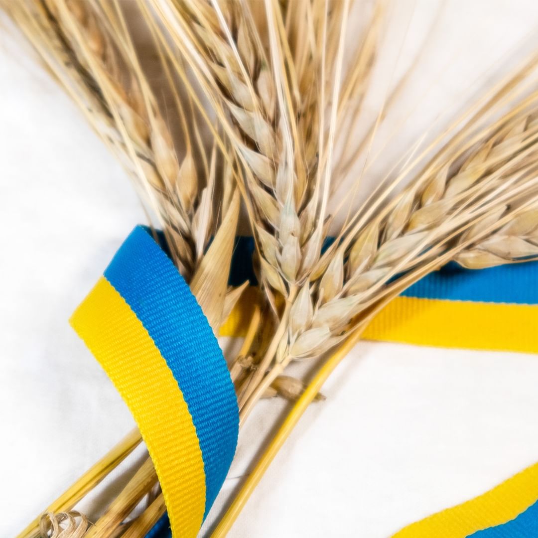 День Незалежності України: Зеленська, Джамала, Сумська та інші зірки вітають зі святом