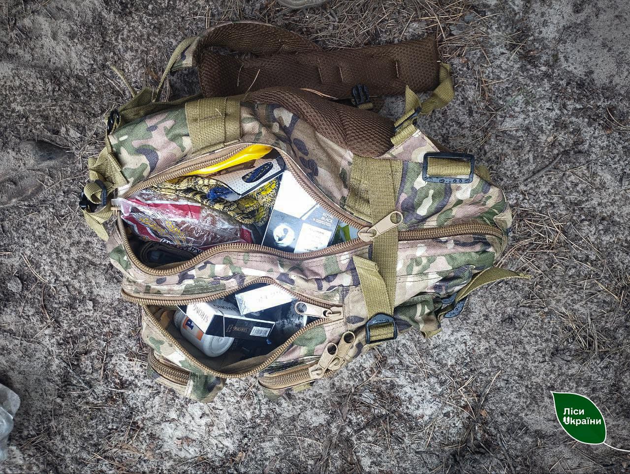 Підпалював ліс біля об'єктів критичної інфраструктури: у Сумській області викрили палія