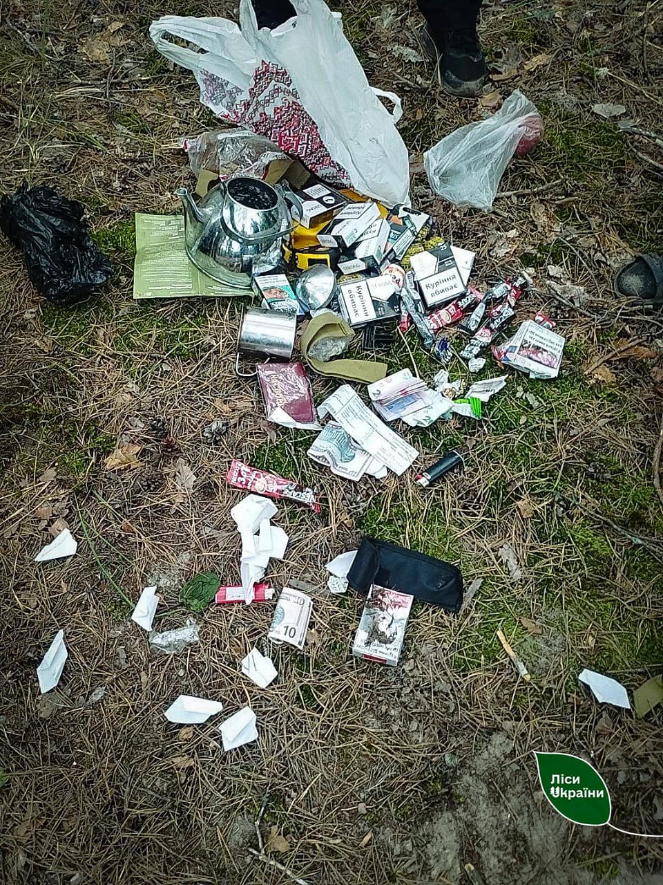 Підпалював ліс біля об'єктів критичної інфраструктури: у Сумській області викрили палія