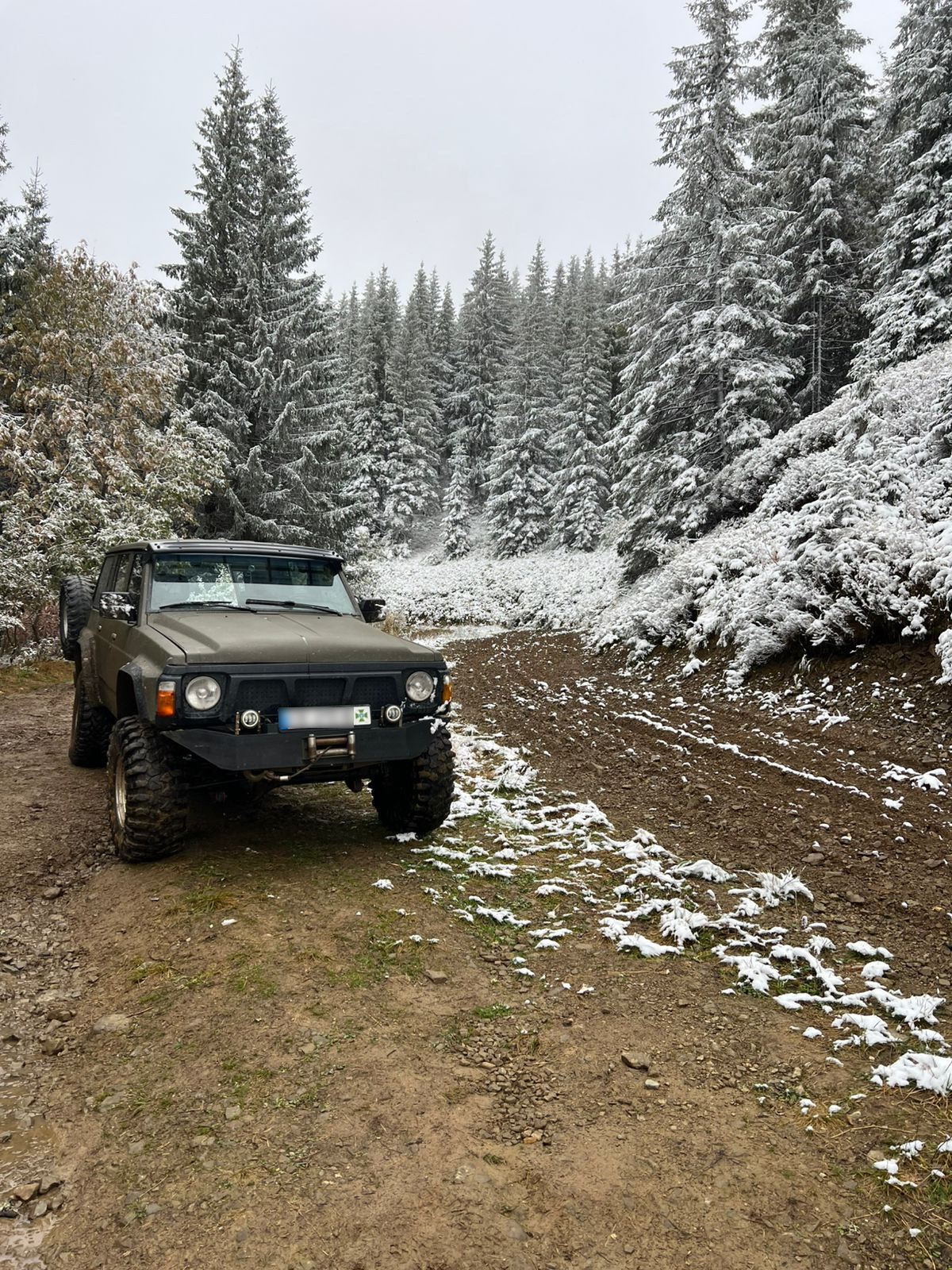 В горы лучше не ходить. Как выглядят заснеженные Карпаты (фото, видео)