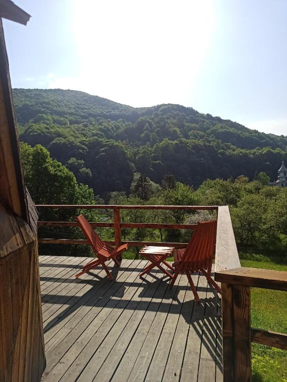 Весняні вихідні в Карпатах: топ будинків і котеджів, де можна відпочити на природі