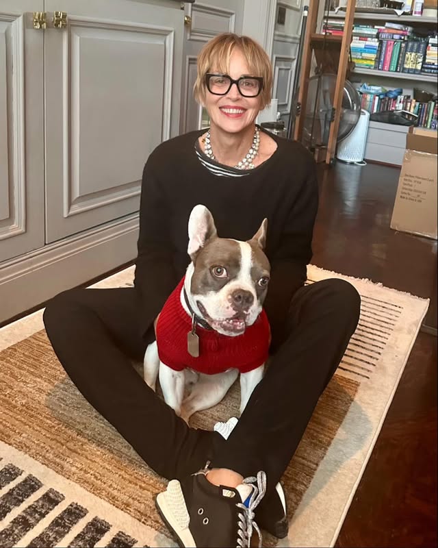 Як сьогодні виглядає Шерон Стоун, яка після зйомок в &quot;Основному інстинкті&quot; стала &quot;найгарячішою&quot; зіркою Голлівуду