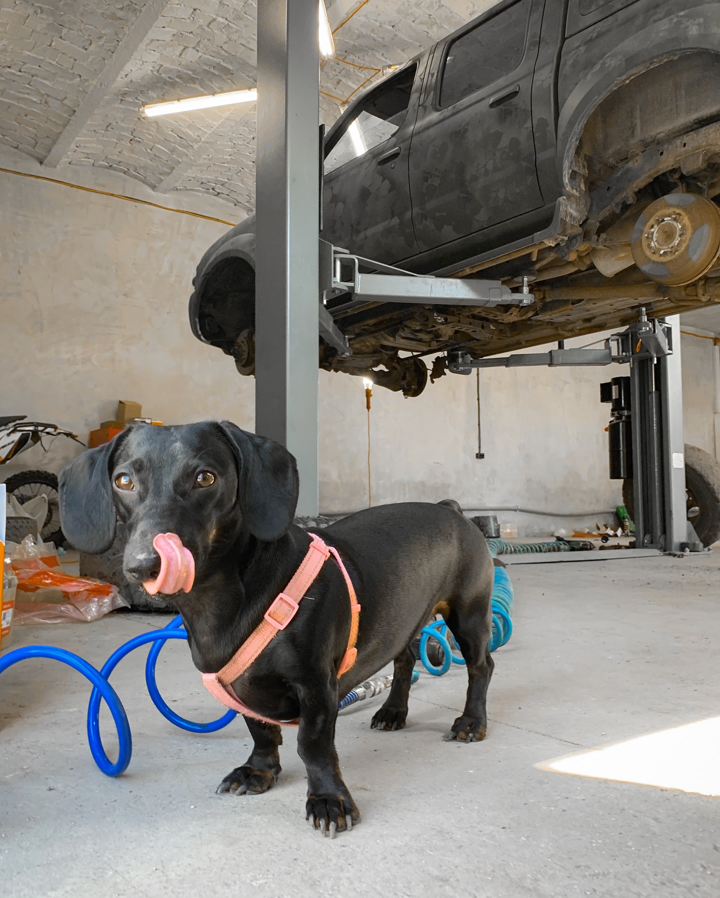 Лайфхаки предпринимательниц: 5 советов от украинок, построивших успешный бизнес с нуля