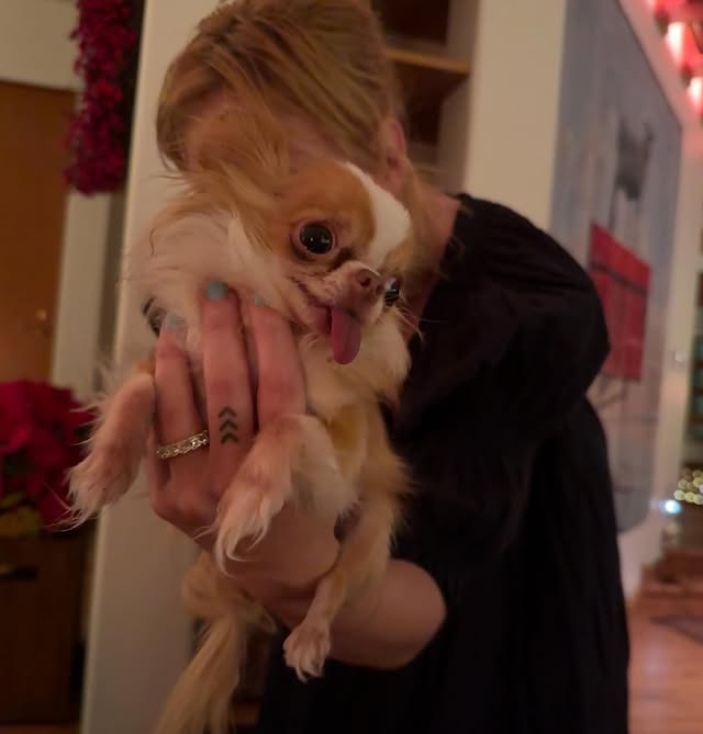 Донька Брюса Вілліса виходить заміж: що відомо про особисте життя 30-річної Талули