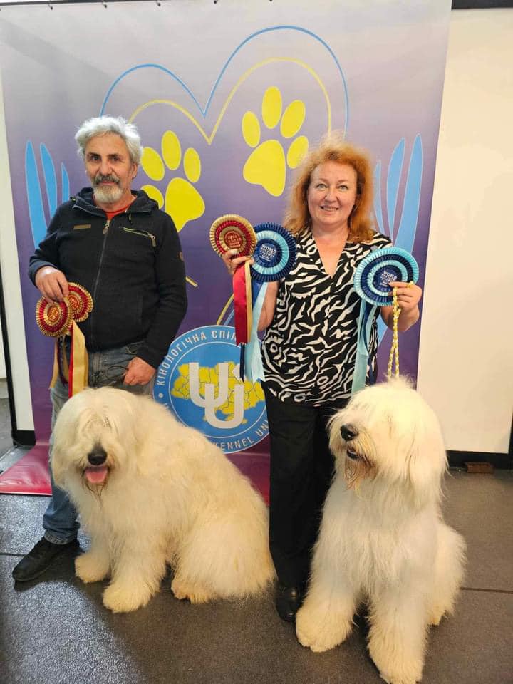 Порода, яку намагалась знищити радянська влада та нацисти: трагічна історія української вівчарки