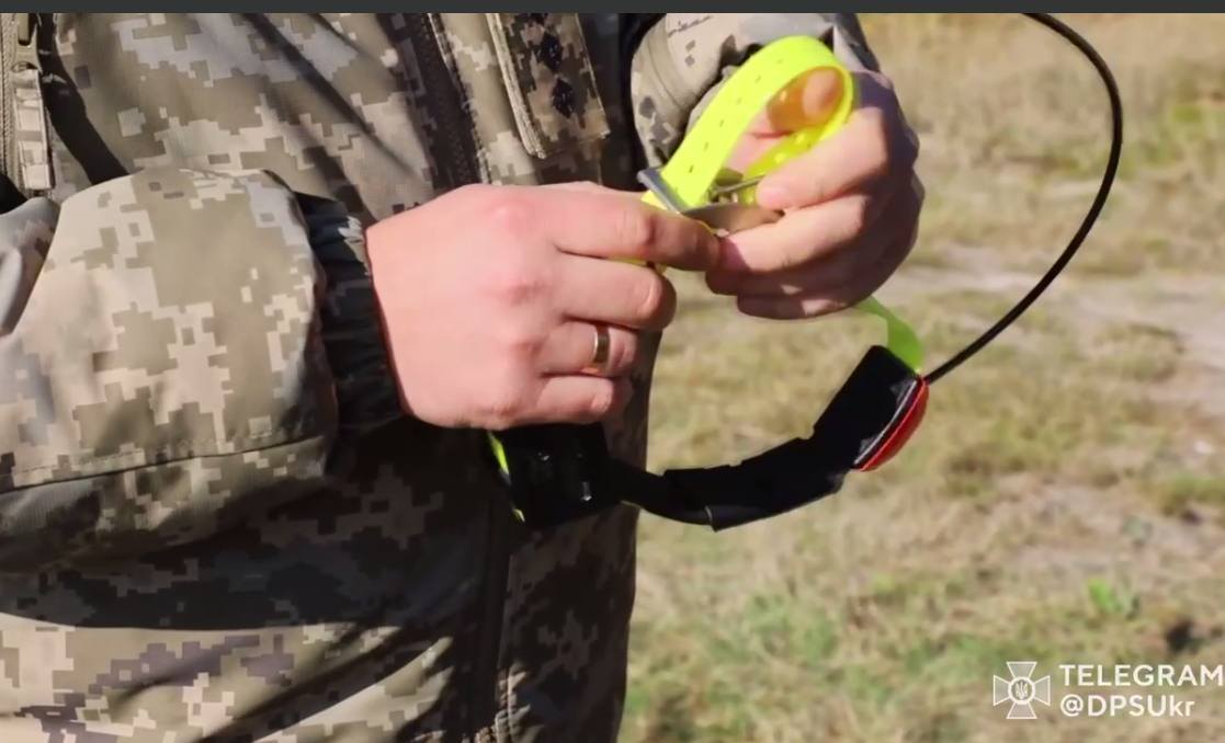 Пес с GPS: в Украине показали, как готовят четырехлапых пограничников (видео)