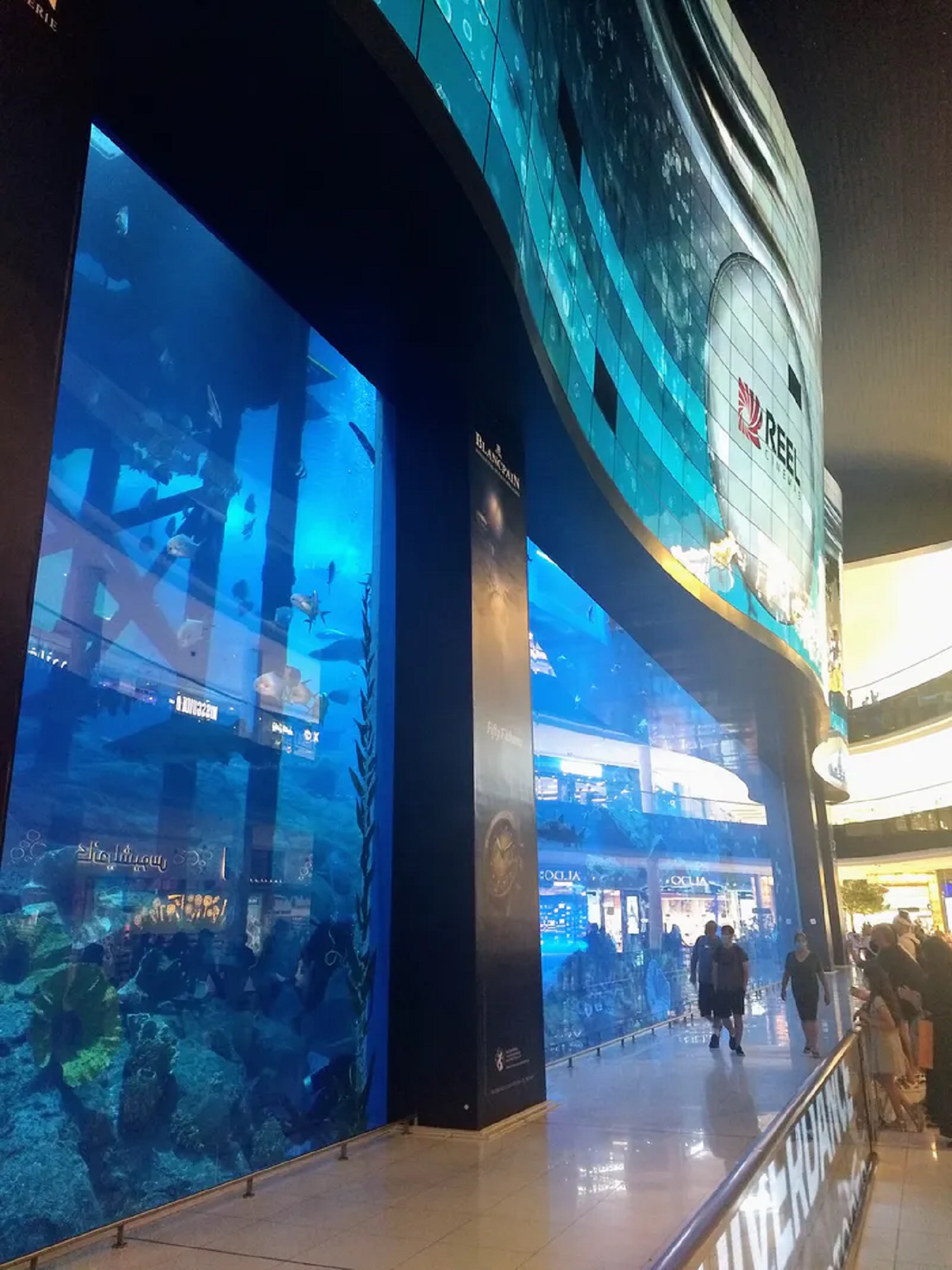 Океаны в миниатюре. 5 самых больших аквариумов мира