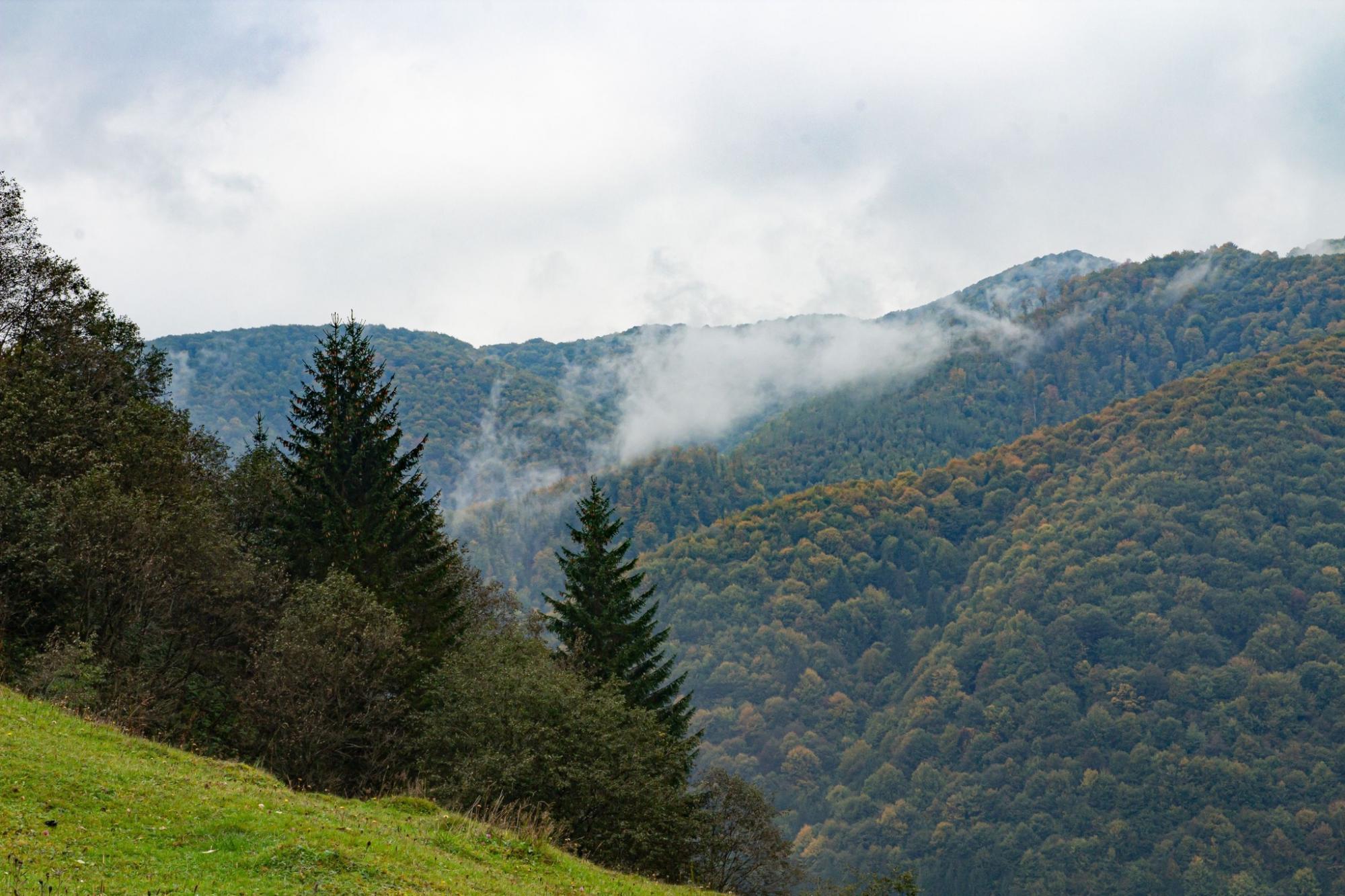 Різнобарвне листя вкрило дерева: як виглядають Карпати та озеро Синевир восени (фото)