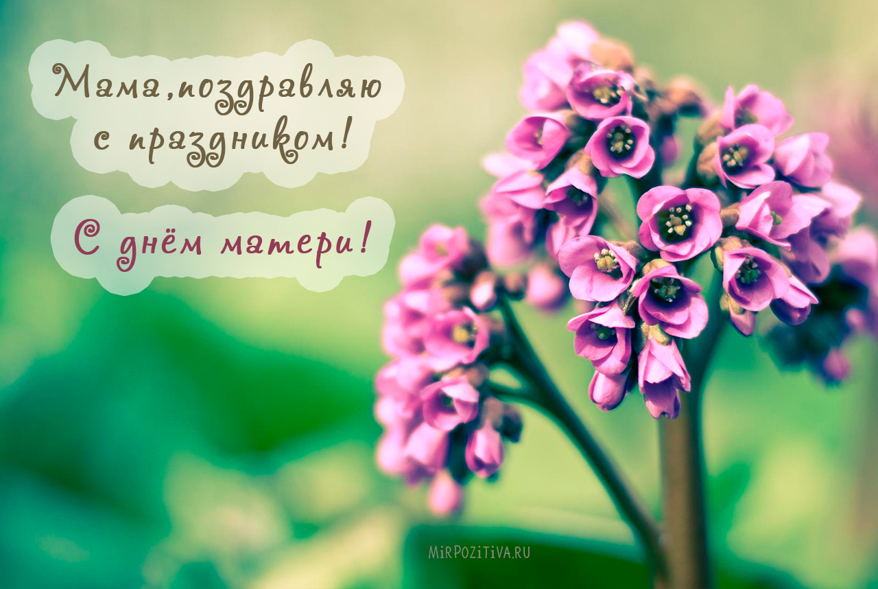 В Украине отмечают день матери: трогательные поздравления и картинки