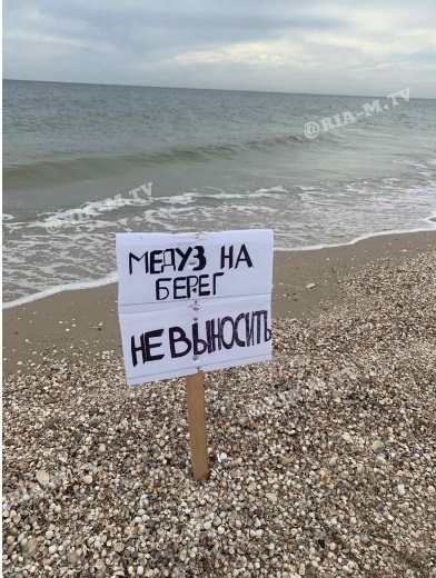 На популярном украинском курорте туристам запретили выносить медуз на берег: названа причина (видео)