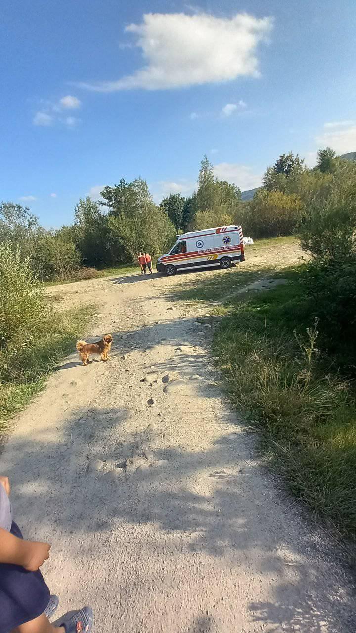 На Прикарпатті дитина впала з аварійного мосту в річку (фото)