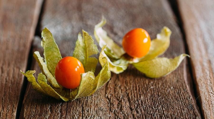 Это малоизвестное растение может снизить стресс и поможет лучше спать