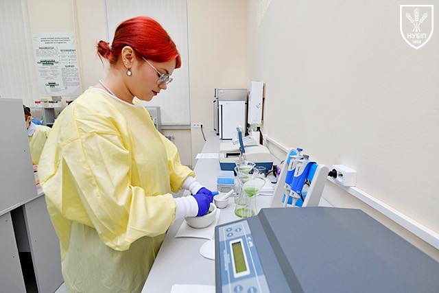 Жилье и +15 баллов к поступлению. Как работает "нулевой курс" в ведущих вузах Украины