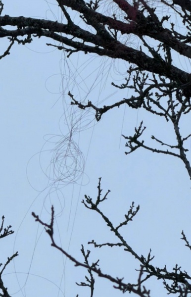 Electronic warfare fails: Russian fiber-optic drone detected on Kharkiv outskirts