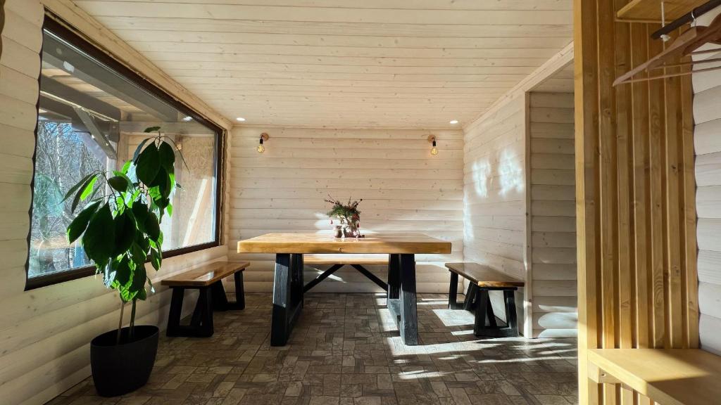 Весняні вихідні в Карпатах: топ будинків і котеджів, де можна відпочити на природі