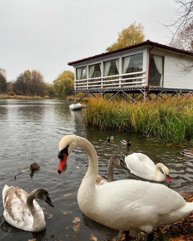 Жемчужина Волыни. Самые интересные локации Луцка для путешествия на уикенд