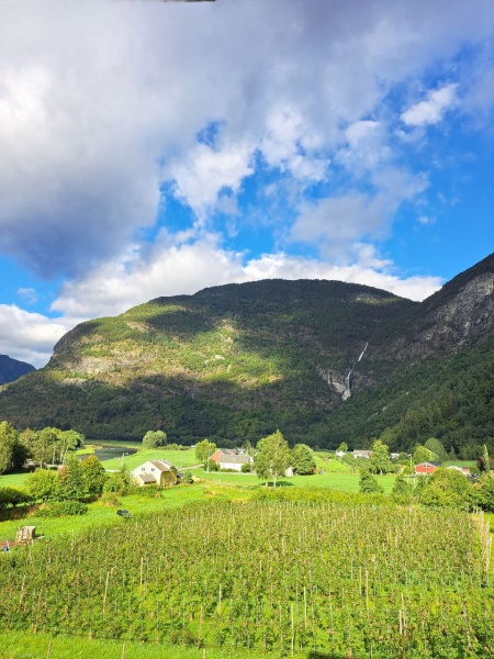 Life in Norway: Strange rules and customs that leave newcomers confused