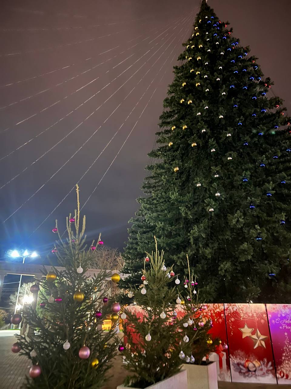 В Керчи установили елку с украинской символикой: оккупанты бесятся от злости (фото)