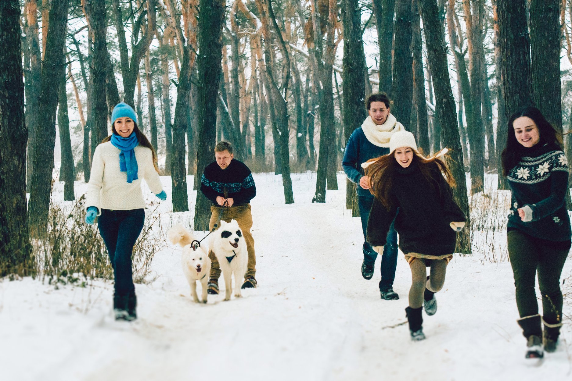 Целебные прогулки. Что такое лесная терапия и в чем ее польза: разговор с ученым