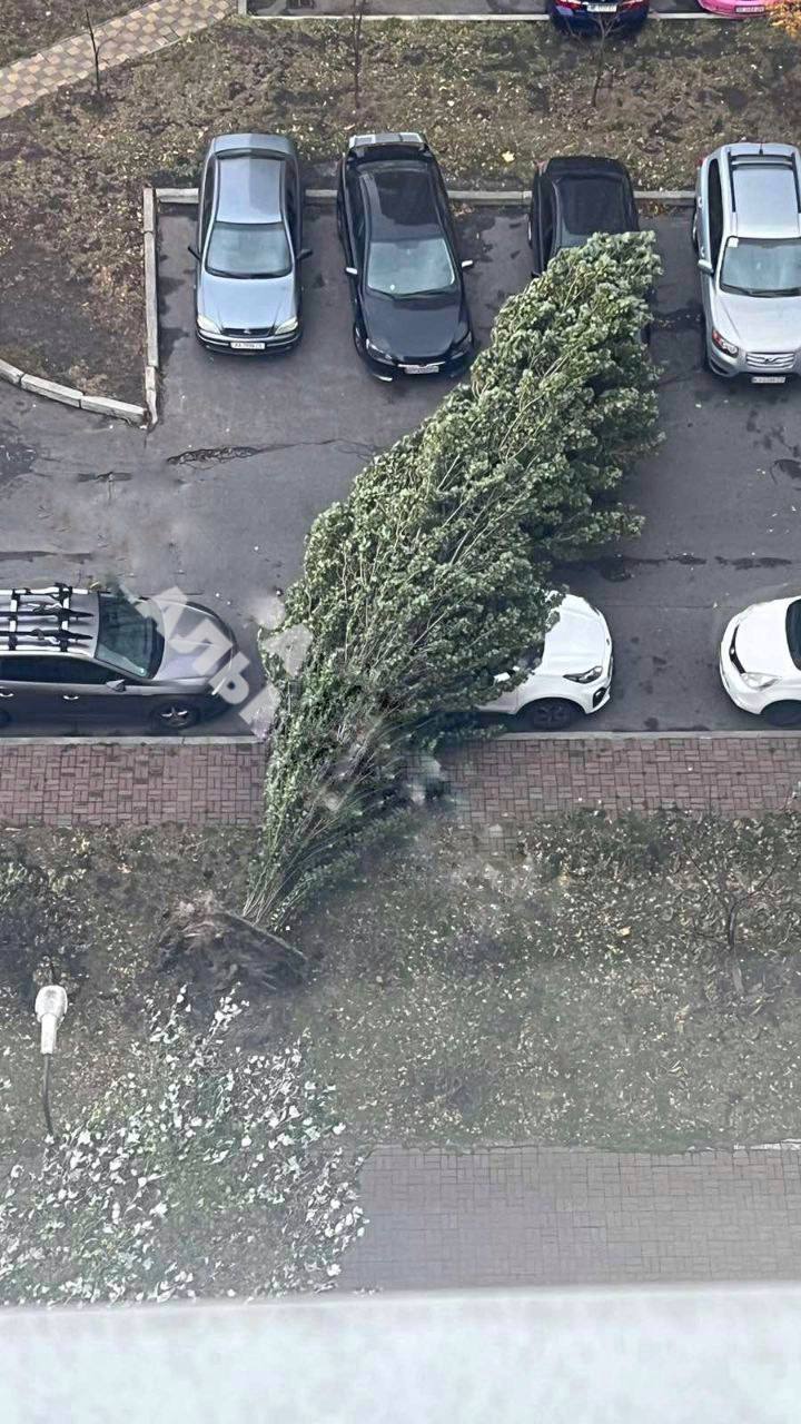 Розбиті машини та вирвані дерева. Дивіться, до чого призводить сильний вітер у Києві: фото та відео