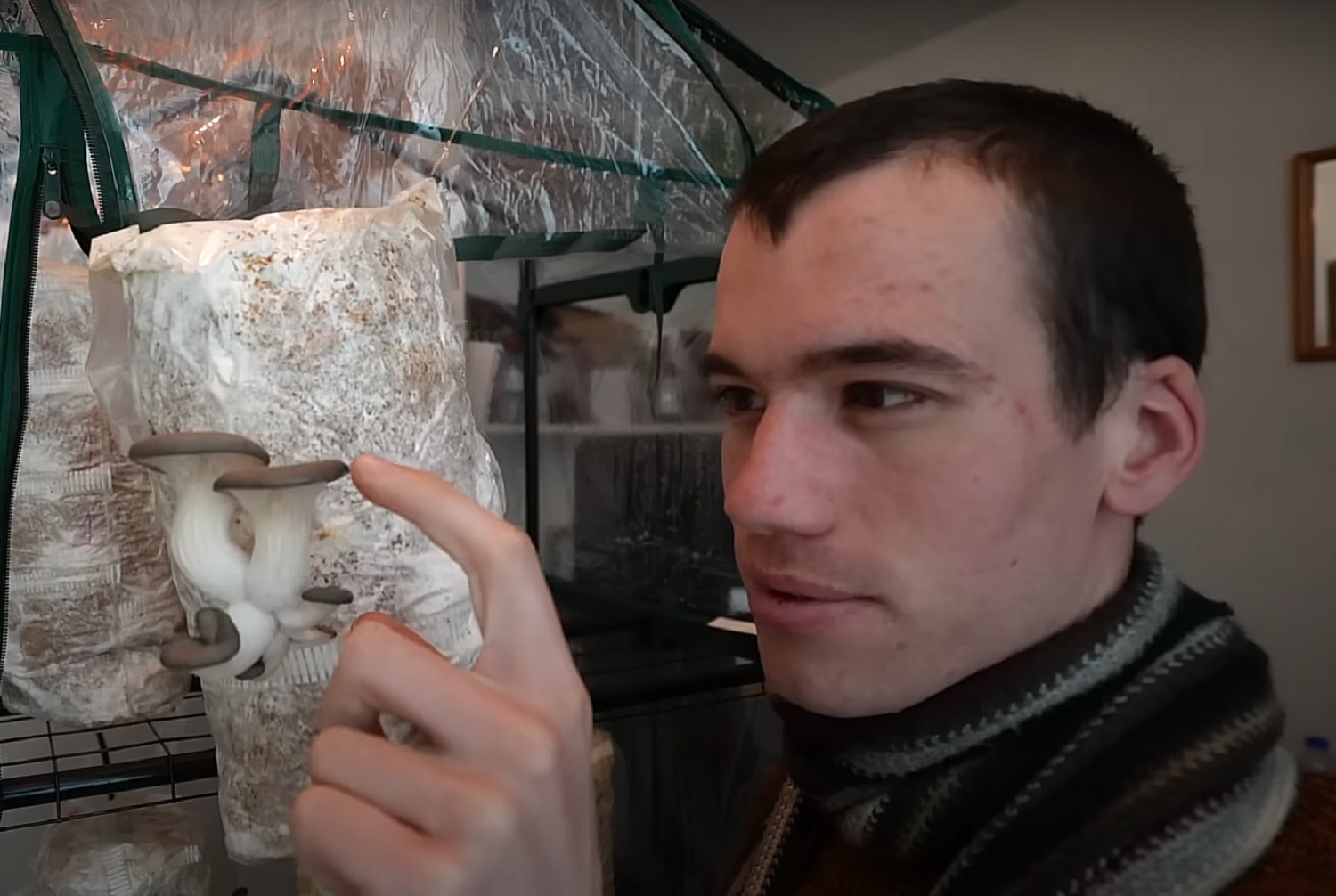 Как вырастить богатый урожай грибов зимой в своем доме