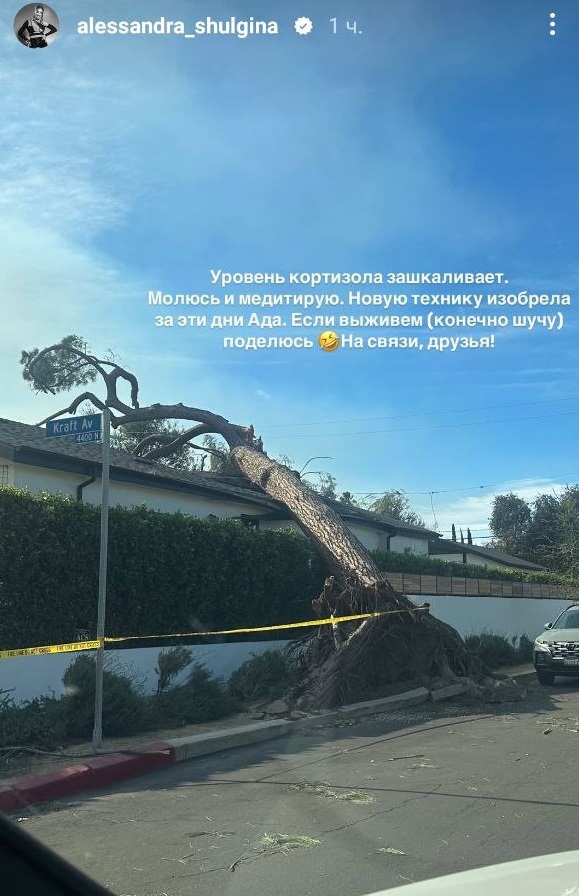 "Подумки прощаюсь": переможниця "Холостяка" показала жахливі кадри пожежі в Лос-Анджелесі